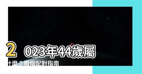 2023年44歲屬什麼